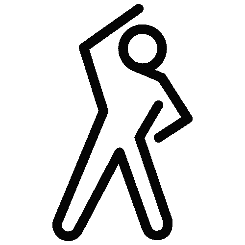 Icon Sport Compatible